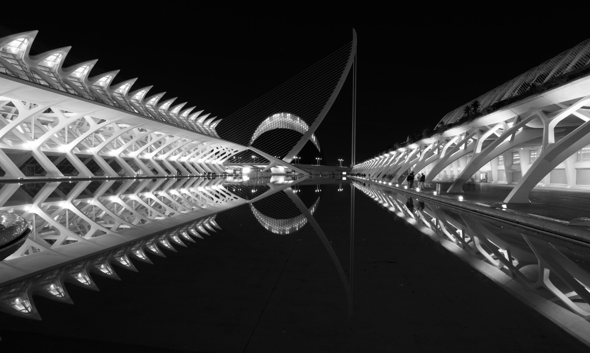 City of Arts and Sciences, Valencia