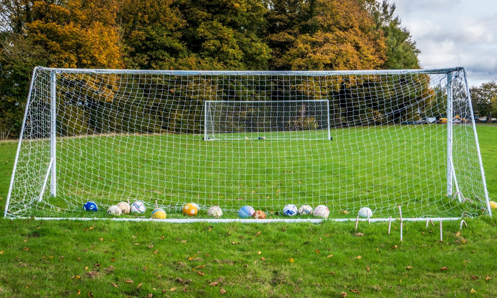 In the back of the net